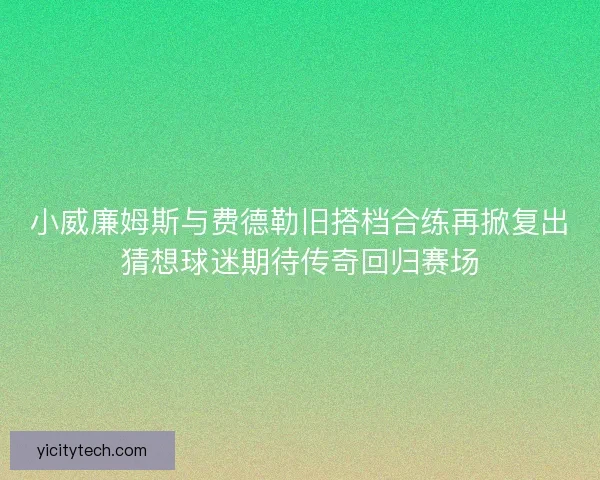 小威廉姆斯与费德勒旧搭档合练再掀复出猜想球迷期待传奇回归赛场
